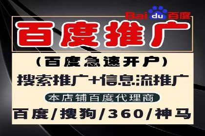 揭秘SEM推广代运营公司的成功之路